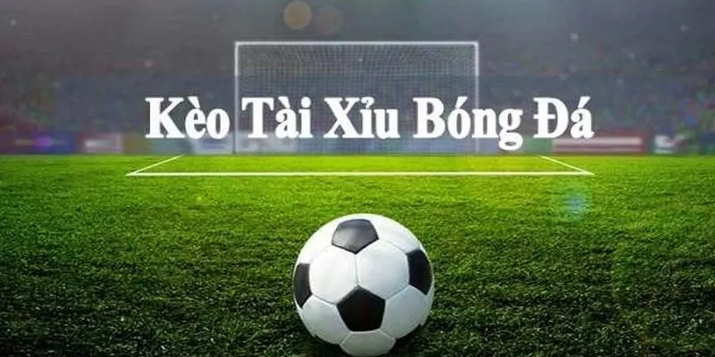 Các loại hình tài xỉu trong bóng đá