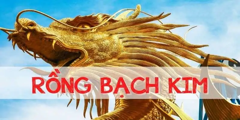 Cách thức vận dụng rồng bạch kim xổ số miền Bắc dễ dàng 