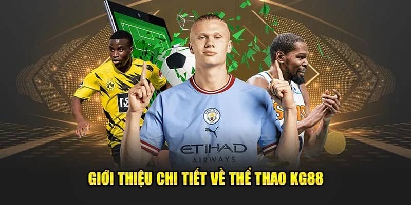 Cá cược thể thao dành cho các tín đồ đam mê